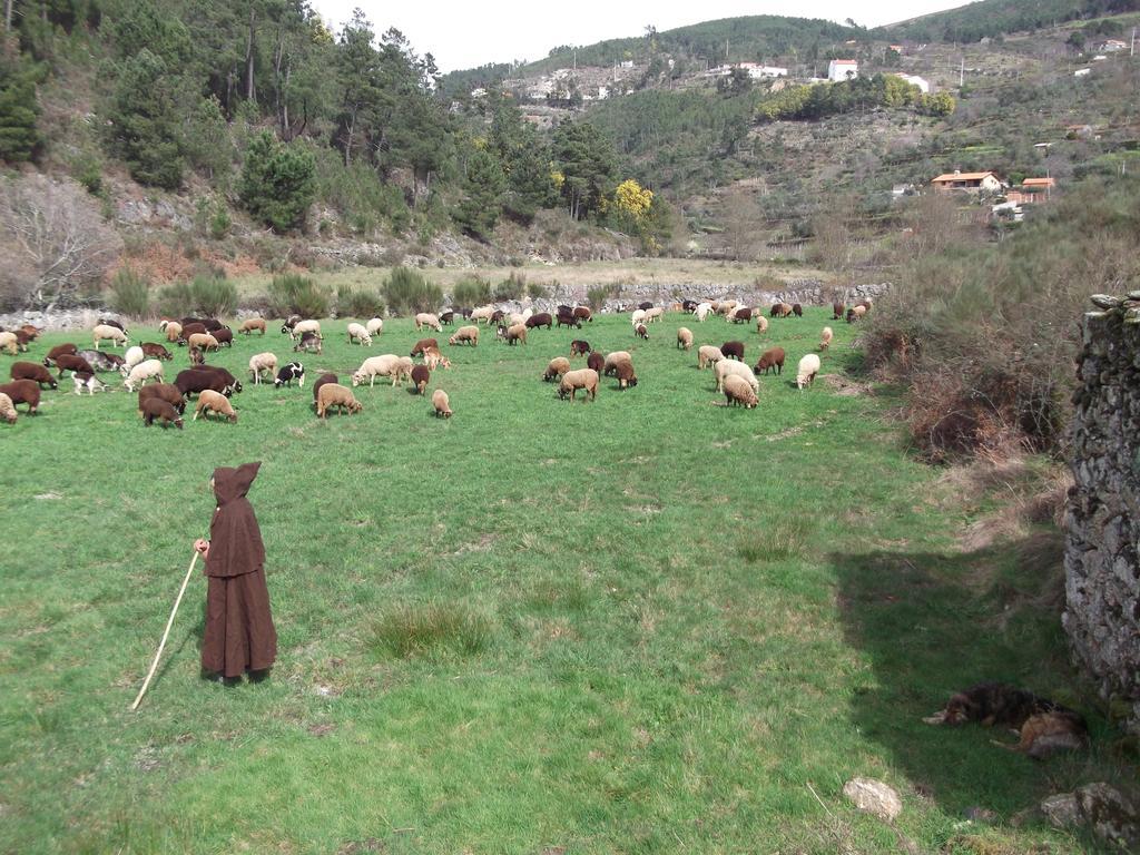 Casa Do Adro - Serra Da Estrela Cortes do Meio ภายนอก รูปภาพ